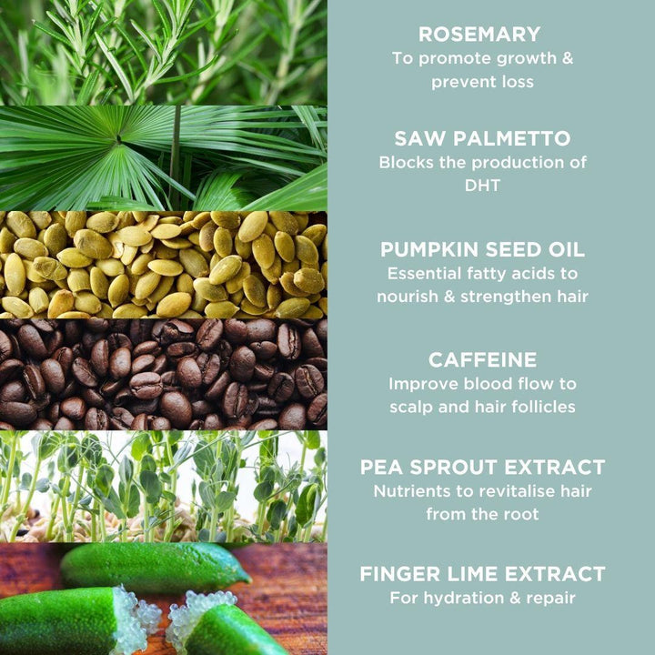 Boost & Be Revival Tonic Ingredients
