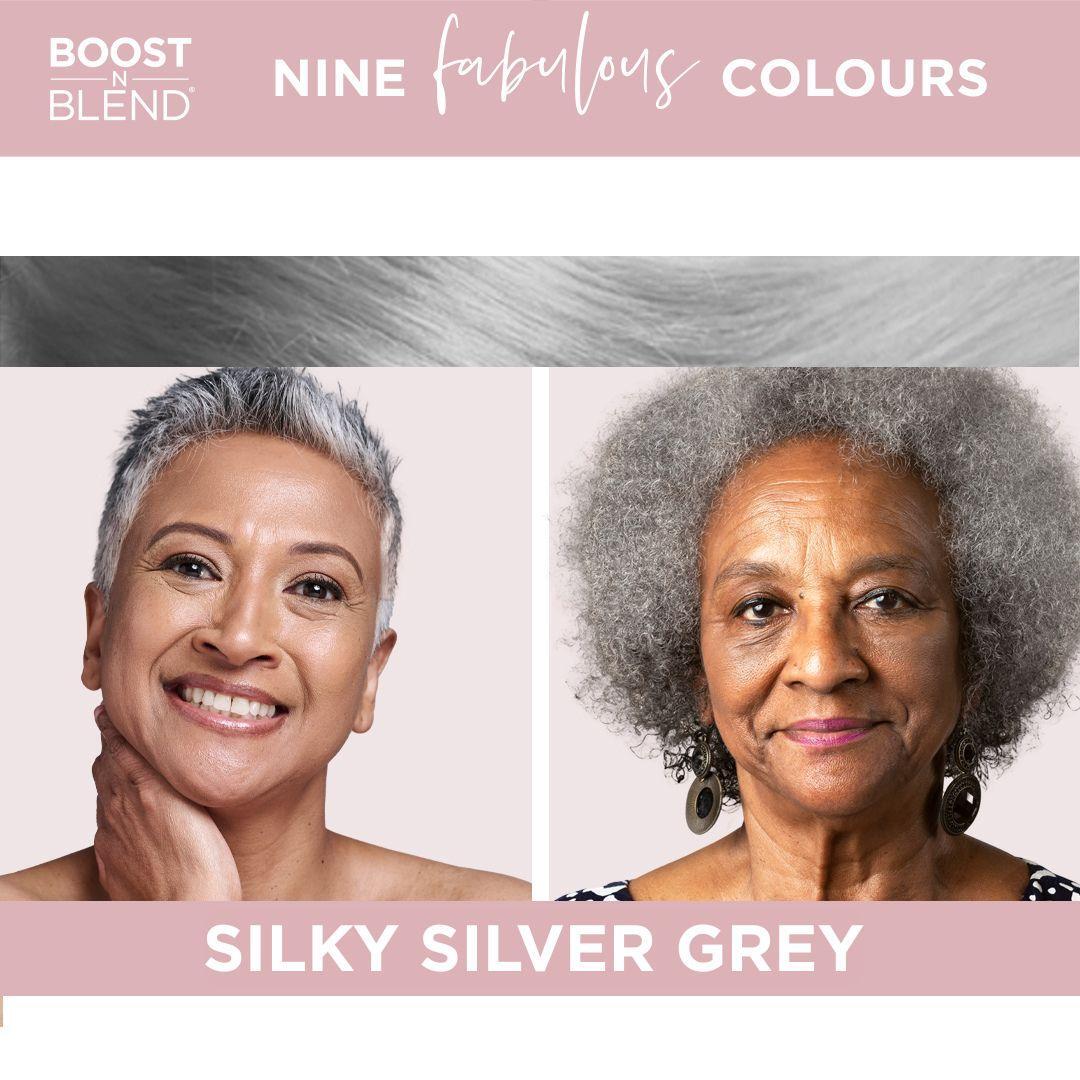 Boost N Blend Colour Examples #colour_silky-silver-grey