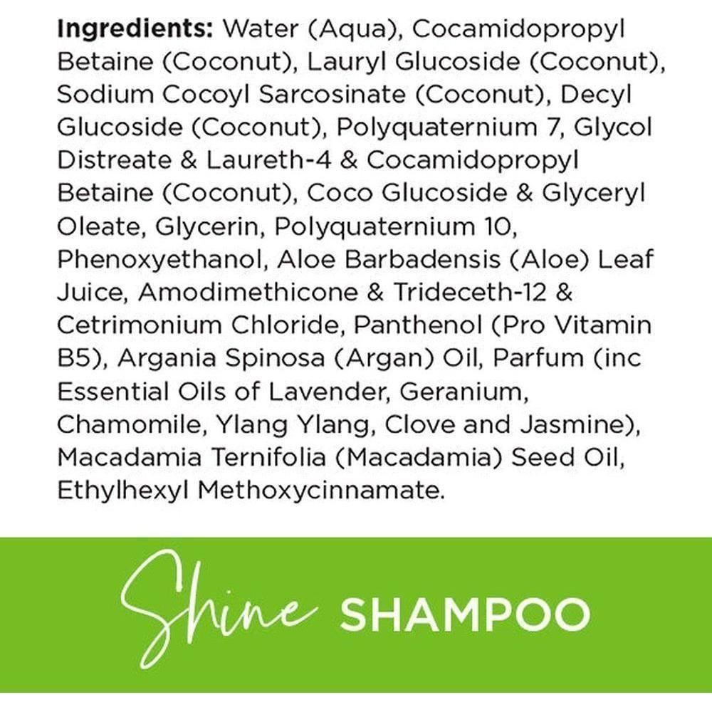 Boost & Be Shine Shampoo and Conditioner 