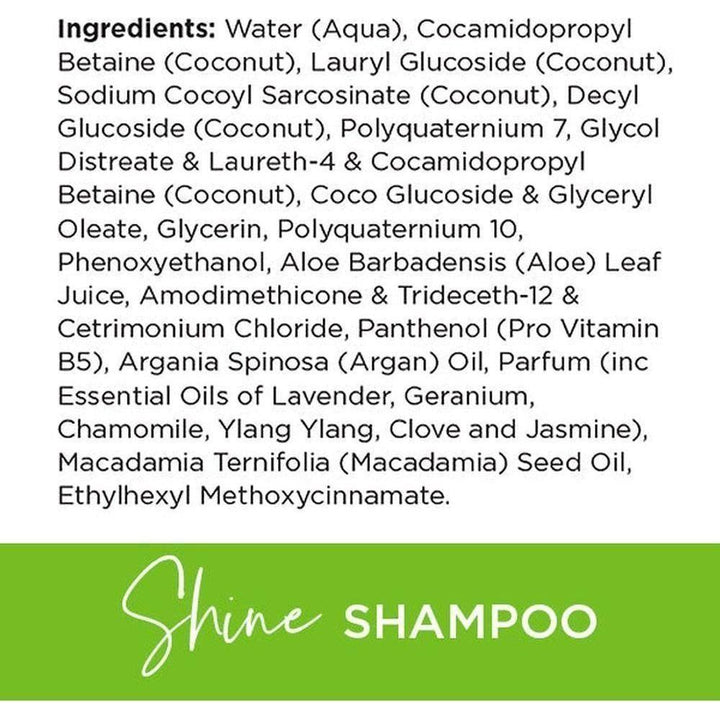 Boost & Be Shine Shampoo and Conditioner 